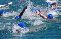 Ckc2016ve055