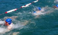 Ckc2016ve056