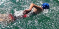 Ckc2016ve059