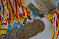 Ckc2017fe013