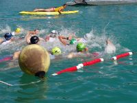 Ckc2017ve072