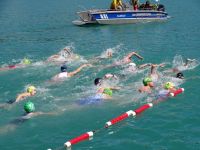 Ckc2017ve074