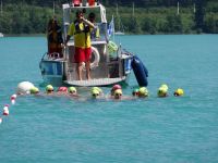 Ckc2017ve104