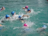 Ckc2019ve031