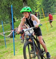 Ckc2019ve037