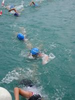Ckc2019ve063