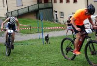 Ckc2019ve121