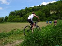 Ckc2019vk244