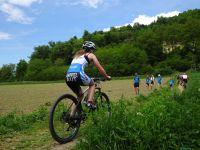 Ckc2019vk245
