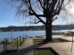 Njs26 Saw Lauchard 002