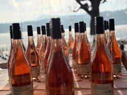 Njs26 Saw Lauchard 011