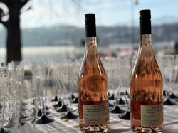 Njs26 Saw Lauchard 029