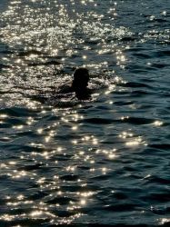 Njs24 Orf Rosenzopf 004