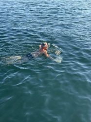 Njs24 Orf Rosenzopf 012