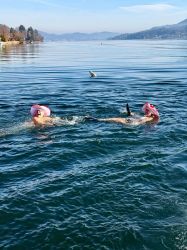 Njs24 Orf Rosenzopf 018