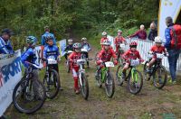 xcoVassach2016004