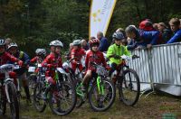 xcoVassach2016005