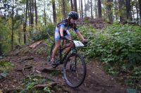 XcoVassach2016030