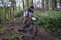 xcoVassach2016030