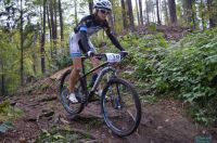 XcoVassach2016031