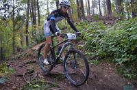 xcoVassach2016031