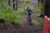 XcoVassach2016049