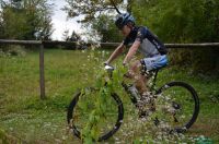 XcoVassach2016054