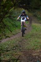XcoVassach2016058
