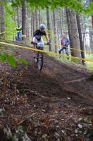 xcoVassach2016074